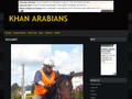 Elevage Khan-Arabians